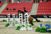 01357 - Mara - 2026 Royal West - Saturday October 2th