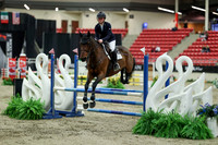 00676 - Mara - 2026 Royal West - Saturday October 2th