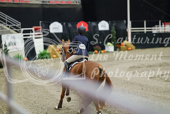 01300 - Mara - 2026 Royal West - Friday October 23rd
