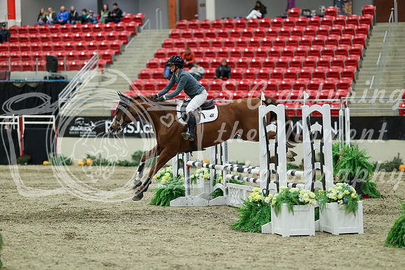 01203 - Mara - 2026 Royal West - Saturday October 2th