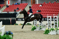 00360 - Mara - 2026 Royal West - Saturday October 2th