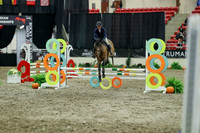 02377 - Mara - 2026 Royal West - Thursday October 15th