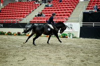 05563 - Mara - 2026 Royal West - Wednesday October 21st