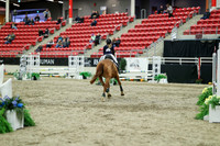 01406 - Mara - 2026 Royal West - Saturday October 2th