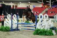 00299 - Mara - 2026 Royal West - Saturday October 2th