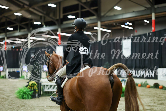 07237 - Mara - 2026 Royal West - Saturday October 17th
