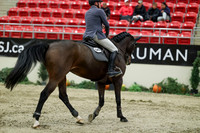 08243 - Mara - 2026 Royal West - Thursday October 22nd