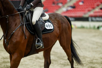 08508 - Mara - 2026 Royal West - Thursday October 22nd