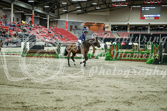 07099 - Mara - 2026 Royal West - Saturday October 17th