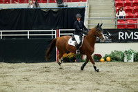 00738 - Mara - 2026 Royal West - Wednesday October 21st