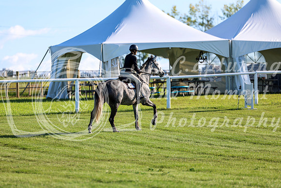 2025 - Shea - Teesdale - Friday July 25th - 03393