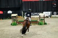 06084 - Mara - 2026 Royal West - Tuesday October 20th