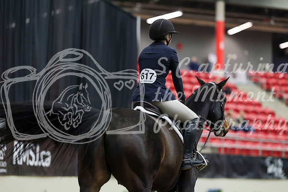 01240 - Mara - 2026 Royal West - Tuesday October 20th