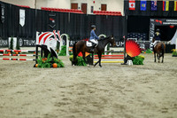 00783 - Mara - 2026 Royal West - Saturday October 2th
