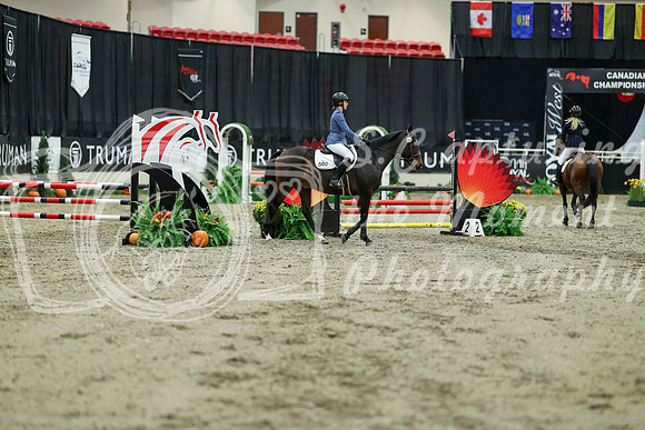 00783 - Mara - 2026 Royal West - Saturday October 2th