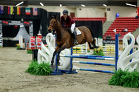 00625 - Mara - 2026 Royal West - Saturday October 2th