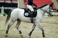 04701 - Mara - 2026 Royal West - Saturday October 24th