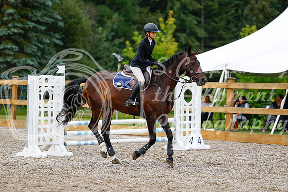 2025 - Haylee - Picco Horse Show - Saturday July 26th 01948