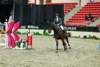 00720 - Mara - 2026 Royal West - Sunday October 18th