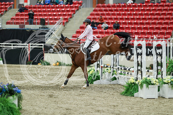 01251 - Mara - 2026 Royal West - Saturday October 2th