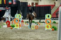 01809 - Mara - 2026 Royal West - Thursday October 15th