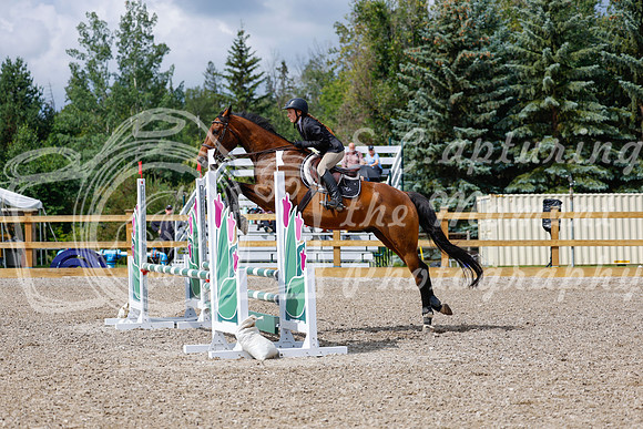 2025 - Haylee - Picco Horse Show - Sunday July 27th 02724