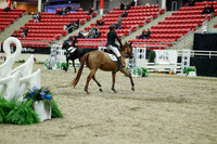 00542 - Mara - 2026 Royal West - Saturday October 2th