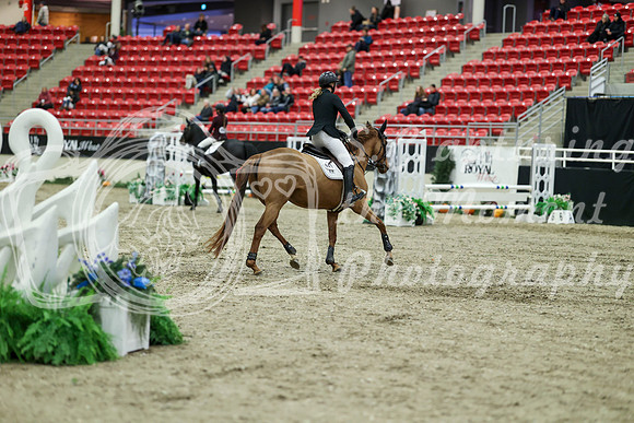00542 - Mara - 2026 Royal West - Saturday October 2th