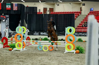 01760 - Mara - 2026 Royal West - Thursday October 15th