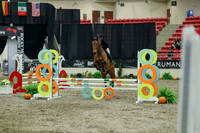 01715 - Mara - 2026 Royal West - Thursday October 15th