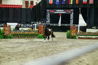 06011 - Mara - 2026 Royal West - Tuesday October 20th