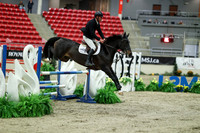 04556 - Mara - 2026 Royal West - Saturday October 24th