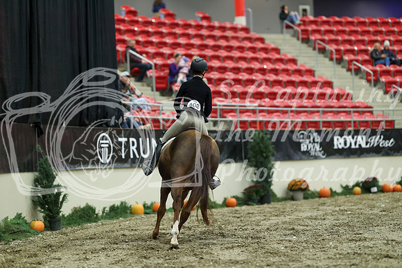 01814 - Mara - 2026 Royal West - Saturday October 17th