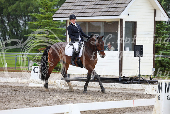 2025 - Dressage Festival - Sunday July 6th - 08768