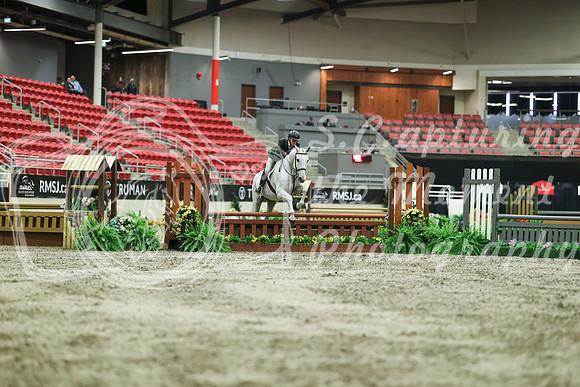 02637 - Mara - 2026 Royal West - Saturday October 17th