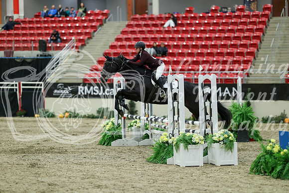 00484 - Mara - 2026 Royal West - Saturday October 2th