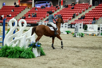 01195 - Mara - 2026 Royal West - Saturday October 2th