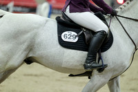 04631 - Mara - 2026 Royal West - Saturday October 24th