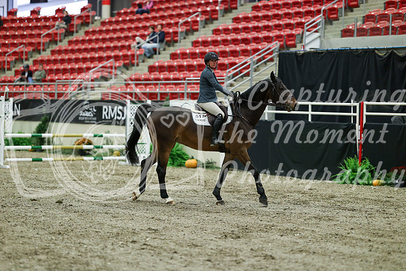 00383 - Mara - 2026 Royal West - Thursday October 15th
