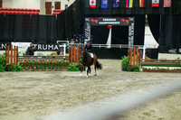 06010 - Mara - 2026 Royal West - Tuesday October 20th