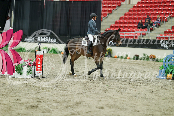 01014 - Mara - 2026 Royal West - Sunday October 18th