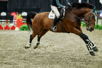 08040 - Mara - 2026 Royal West - Thursday October 15th