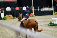 01295 - Mara - 2026 Royal West - Friday October 23rd