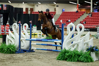 00619 - Mara - 2026 Royal West - Saturday October 2th