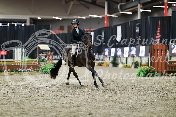 01017 - Mara - 2026 Royal West - Tuesday October 20th