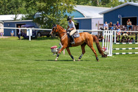 2025 - Shea - Teesdale - Thursday July 24th - 01732