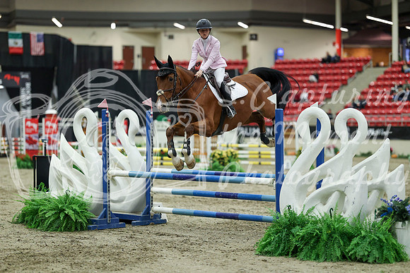01259 - Mara - 2026 Royal West - Saturday October 2th