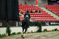 01304 - Mara - 2026 Royal West - Saturday October 17th