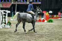 07036 - Mara - 2026 Royal West - Thursday October 15th