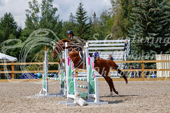 2025 - Haylee - Picco Horse Show - Sunday July 27th 03159